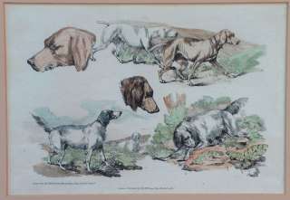 Henry Thomas Alken Canine Etchings Pair Tinted 1820  