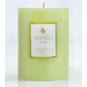  Mango Breeze 3 d x 4 h Pillar Candle