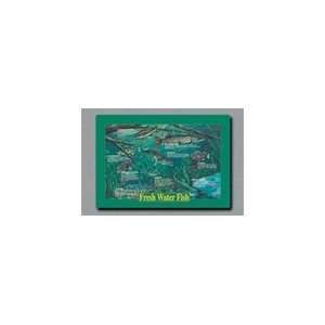  901 ECO51 Fresh Water Fish Placemats recycled   9 3/4 x 14 