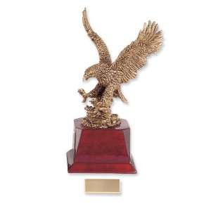  American Eagle Award Jewelry