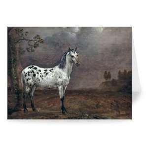 The Piebald Horse, 1653 (oil on canvas) by   Greeting Card (Pack of 