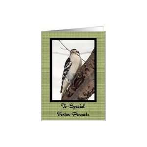 Foster Parents Downy Woodpecker Christmas Card Card