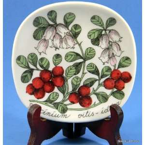   Finland Vaccinium Vitis idcea Vintage Wall Plate 