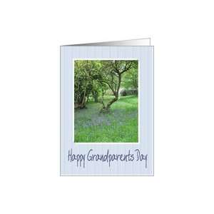 Grandparents Day   Bluebells In Woods Card