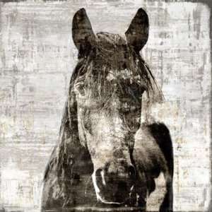  Winter Stallion by Leftbank Art