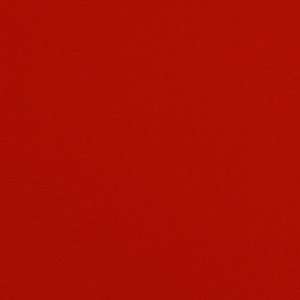  60 Wide Orina Nylon Lycra Tricot Swimwear/Activewear Red 