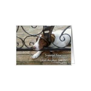  Support Your Local Animal Shelter Dog on Bricks Card 