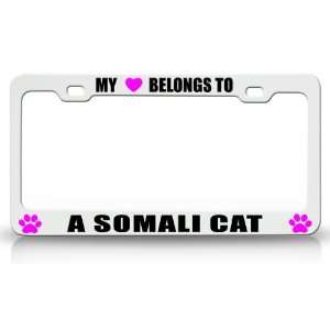  MY HEART BELONGS TO A SOMALI Cat Pet Auto License Plate 