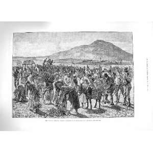  1881 IRELAND TILLING FARM IMPRISONED LAND LEAGUER