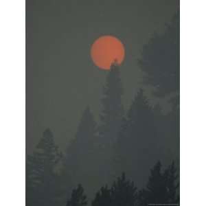 The Sun Shines Through the Haze Created by the 1988 Yellowstone Fires 
