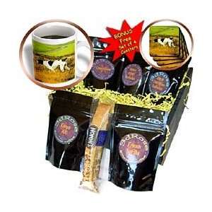 Dogs The Pointer   The Pointer Dog   Coffee Gift Baskets   Coffee Gift 