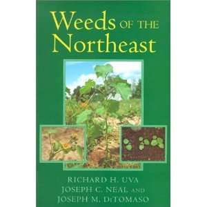   of the Northeast (Comstock books) [Paperback] Richard H. Uva Books