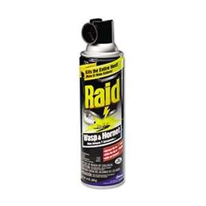  Raid® Wasp & Hornet Killer Patio, Lawn & Garden