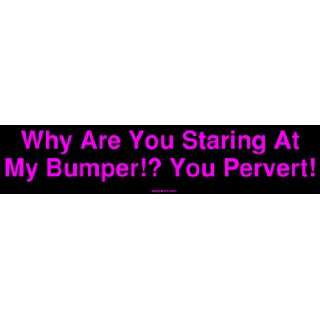   Staring At My Bumper? You Pervert Large Bumper Sticker Automotive