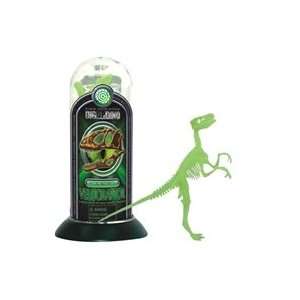   TestTube Velociraptor Dinosaur Skeleton Toy Toys & Games