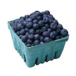  BLUEBERRY MISTY / 2 gallon Potted Patio, Lawn & Garden