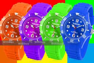 ICE Geneva Wristwatch/Watch Fashion U VS024  