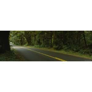 Two Lane Highways Passing Through a Forest, Hoh Rain Forest, Olympic 