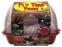 Venus Fly Trap Fiends Windowsill Garden Plants 851694000285  