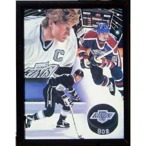  Wayne Gretzky 16 x 21 Canvas Transfer from a 1995 