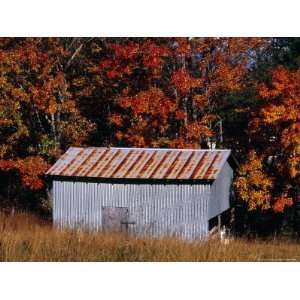  Autumn View of an Old Tin Barn at the Edge of the Woods 