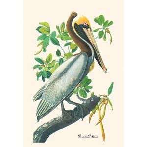  Vintage Art Brown Pelican   03559 5