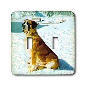  Dogs Saint Bernard   Saint Bernard   Light Switch Covers 