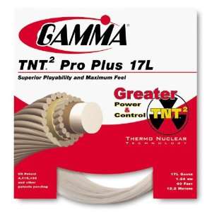  Gamma TNT2 Pro Plus 17L [Misc.]
