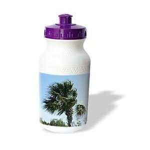  Trees   Sabal Palm On Windy Day   Water Bottles