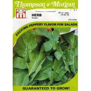   & Morgan 570 Herb Rocket (Arugula) Seed Packet Patio, Lawn & Garden