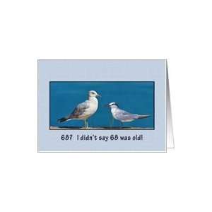  Birthday, 68th, Gull and Tern Birds Card Toys & Games