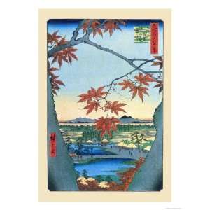   Styles Giclee Poster Print by Ando Hiroshige, 18x24