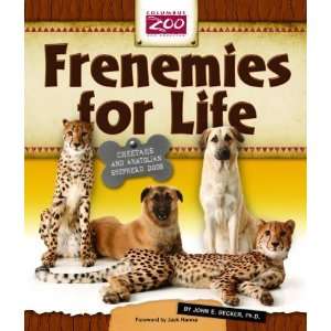  Frenemies for Life Cheetahs and Anatolian Shepherd Dogs 