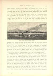 Garrans Apia, Upolu Island, Samoan Group. c1888  