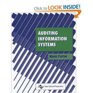  Auditing Information Systems Mario Piattini Books