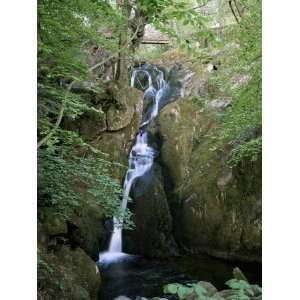 Stock Ghyll Force, Ambleside, Lake District, Cumbria, England, United 