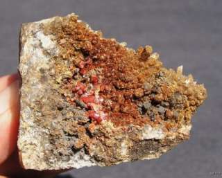 VANADINITE & DESCLOIZITE   APACHE MINE, ARIZONA 11764  