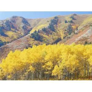  Wellsville Mountains in Autumn, Wasatch Cache National 