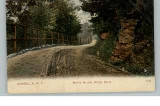 Unadilla NY Martin Brooks Rocky Drive c1910 Postcard  