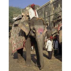  Elephant Transport for Tourists, Amber Palace, Jaipur 