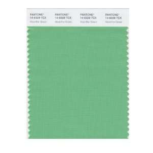  PANTONE SMART 14 6329X Color Swatch Card, Absinthe Green 