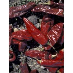  Chile Peppers Drying in the Sun, Rosario, Baja, Mexico 