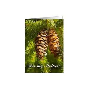  pine cones   Merry Christmas mother Card Health 