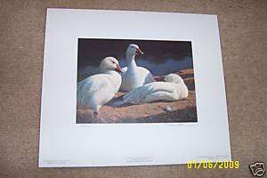 1992 Snow Geese Print by Nancy Howe signed BW  
