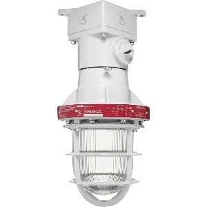 RAB Lighting EX124 3/4 Explosionproof Outdoor Close to Ceiling