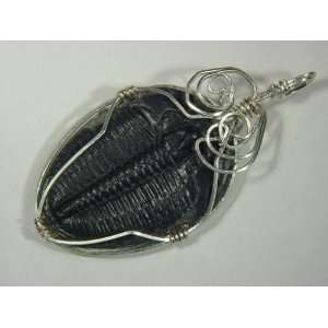 Sterling Silver Wire Wrapped Trilobite Fossil Pendant Necklace Jewelry