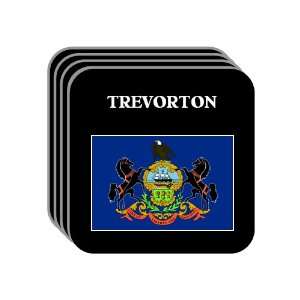  US State Flag   TREVORTON, Pennsylvania (PA) Set of 4 Mini 