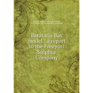  Barataria Bay model  a report to the Freeport Sulphur 