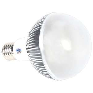 Avalon LED AA0074 9W LED A19 Replace Incandescent A19 Light Bulb, Cool 