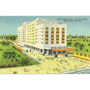  1950s Vintage Postcard   Royal Palm Hotel   Miami Beach 